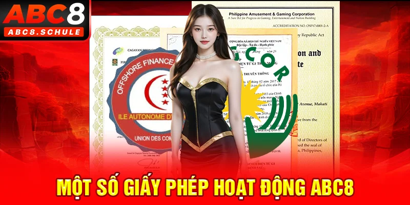 Giấy phép hoạt động ABC8 được cấp bởi PAGCOR